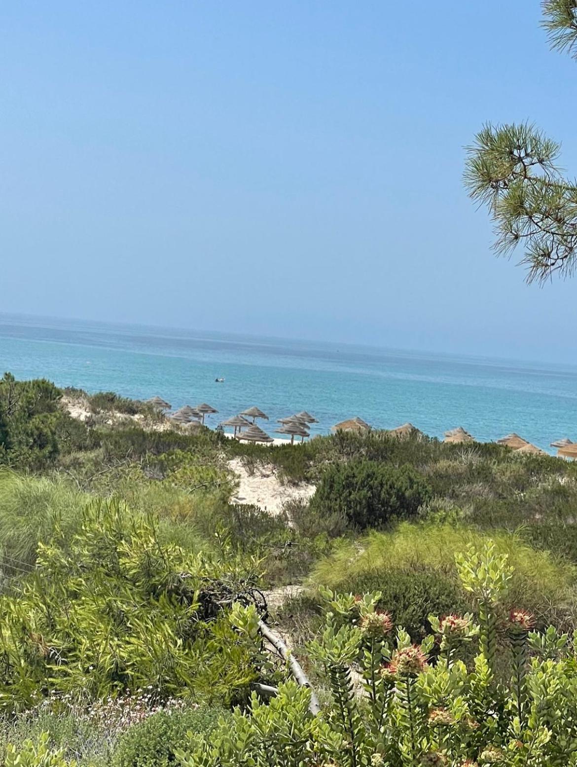 فيلا Troia Beach Vacation المظهر الخارجي الصورة
